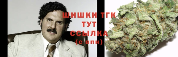 ПСИЛОЦИБИНОВЫЕ ГРИБЫ Коряжма