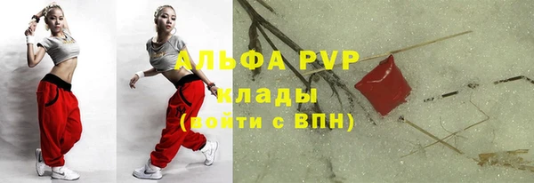 ПСИЛОЦИБИНОВЫЕ ГРИБЫ Коряжма
