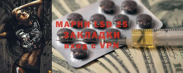 PSILOCYBIN Костерёво