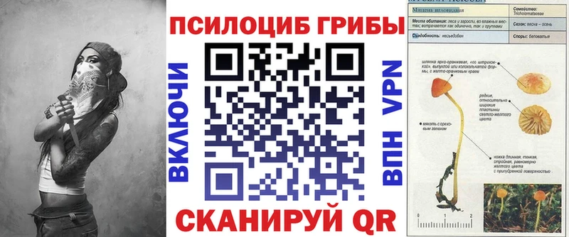 Купить где  Анжеро-Судженск  Псилоцибиновые грибы MAGIC MUSHROOMS 